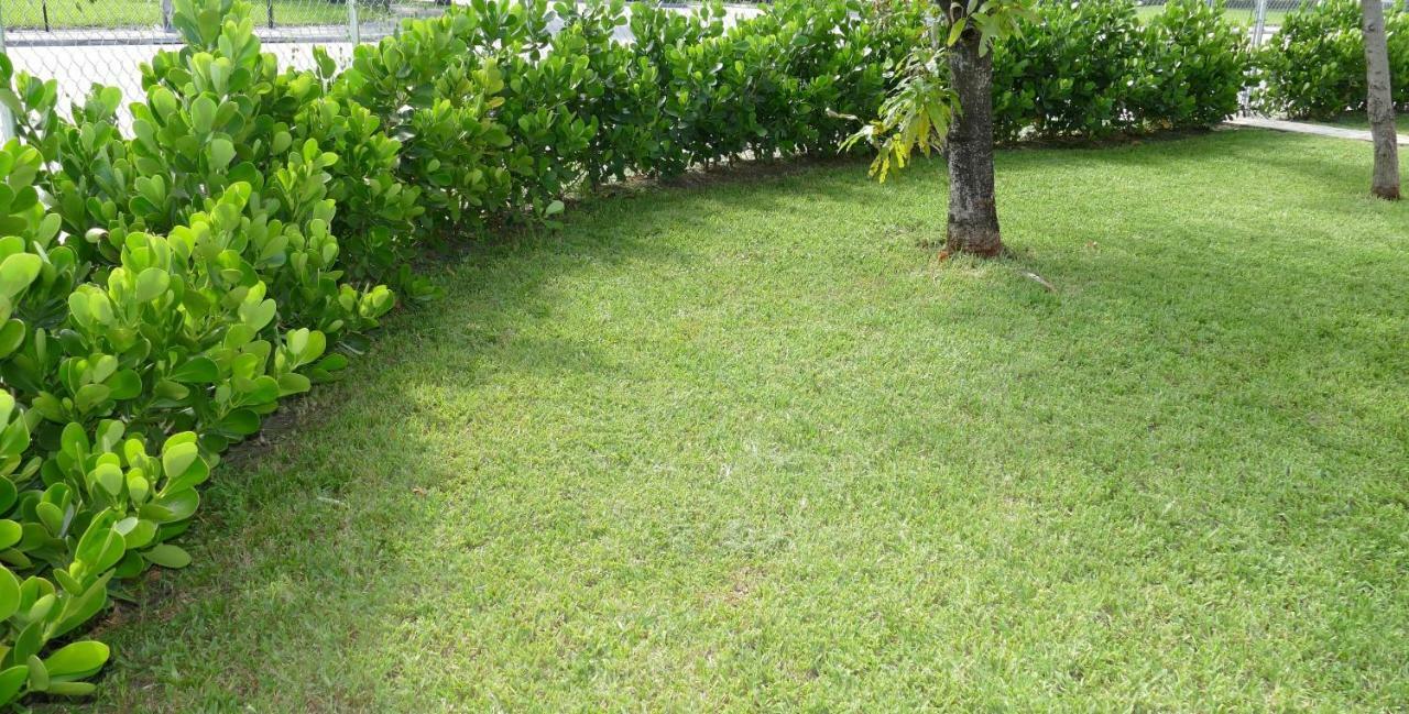Miami-Airport Oasis Vip House Villa Eksteriør bilde